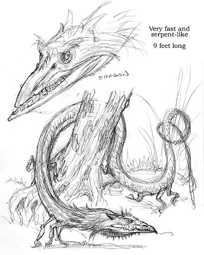 Preperatory sketches for “Arthur Spiderwick’s Field Guide to the Fantastical World Around You.”