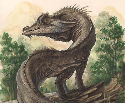 Detail of the Spiderwick dragon, Draco antiquissimus